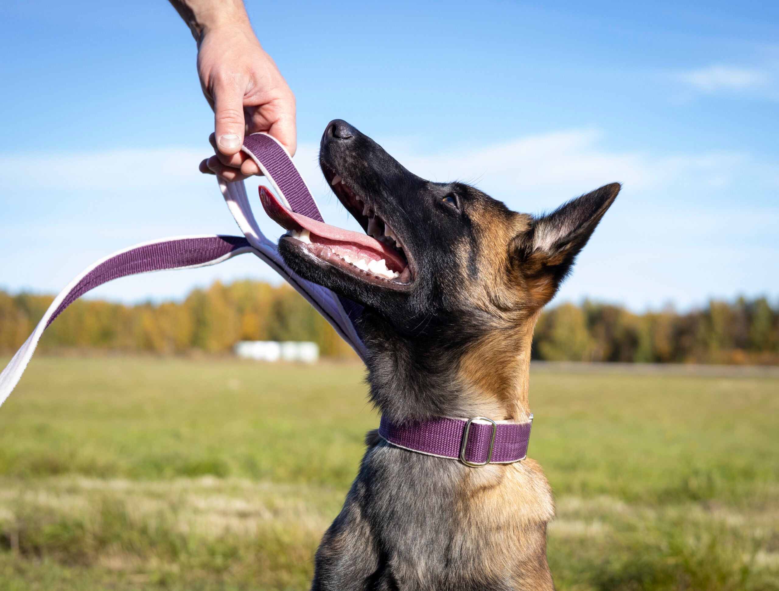 466A8768 kopiera (2)