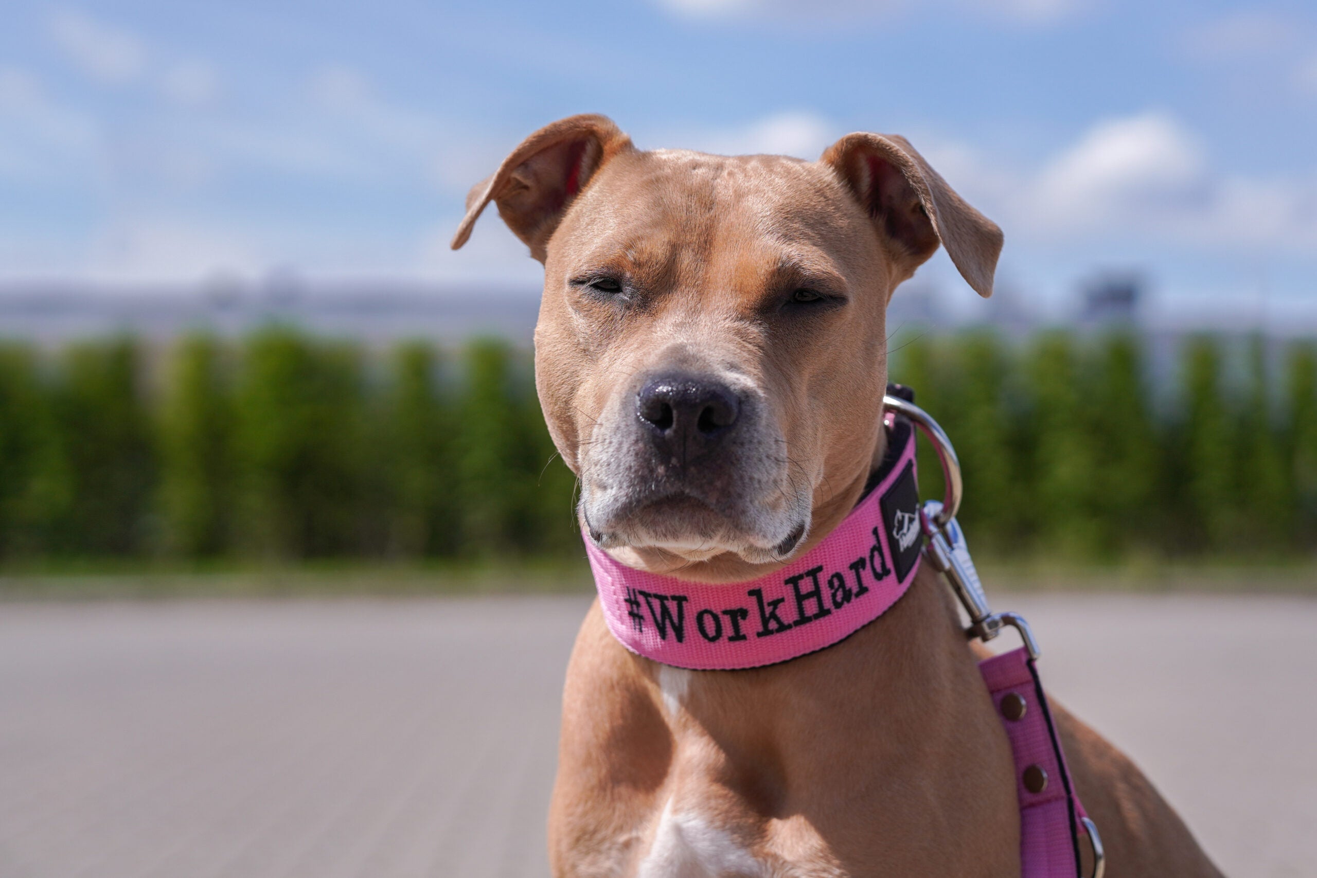 recznie robione akcesoria