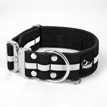 Extreme Silver Buckle Safe