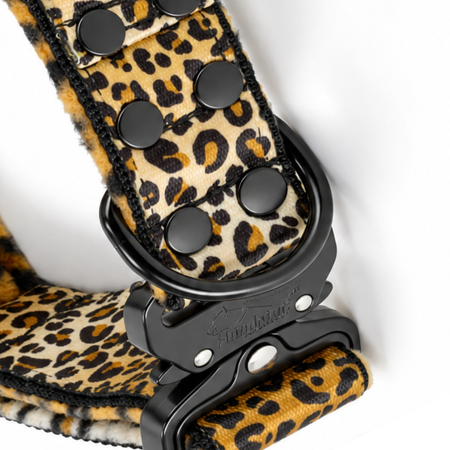 Leopard Edition