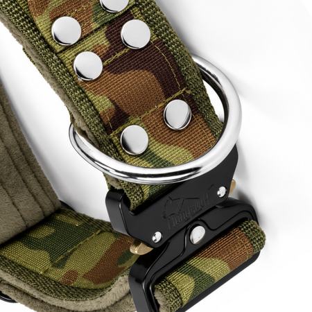 Camo Edition