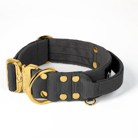 Extreme Gold Buckle