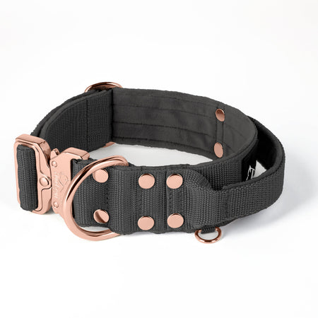 Extreme Rose Buckle Rose Edition