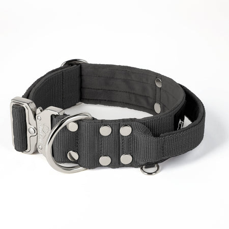 Extreme Silver Buckle