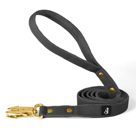 Walk Leash Golden Edition