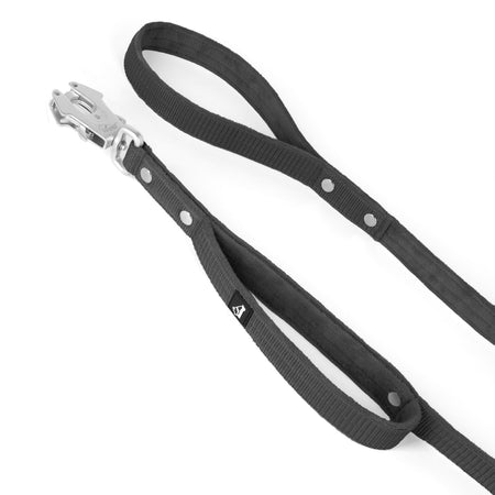 Guard Leash Silver