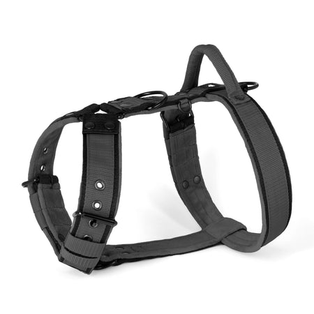 Easy Walk Black Edition
