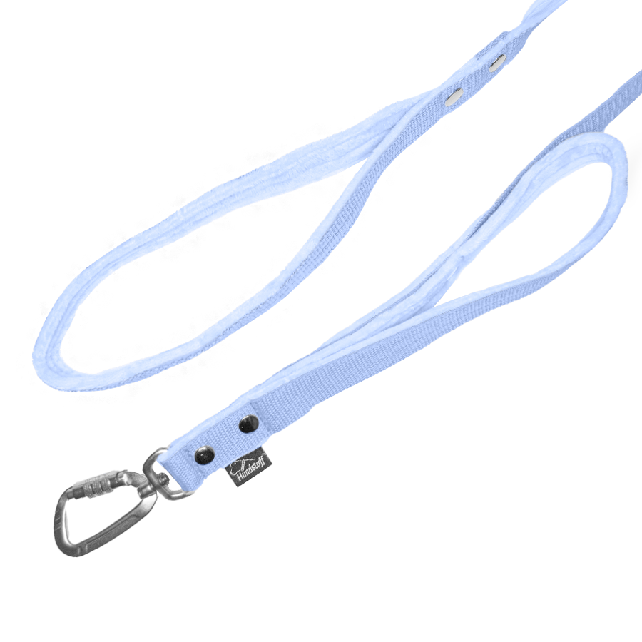 guard leash baby blue