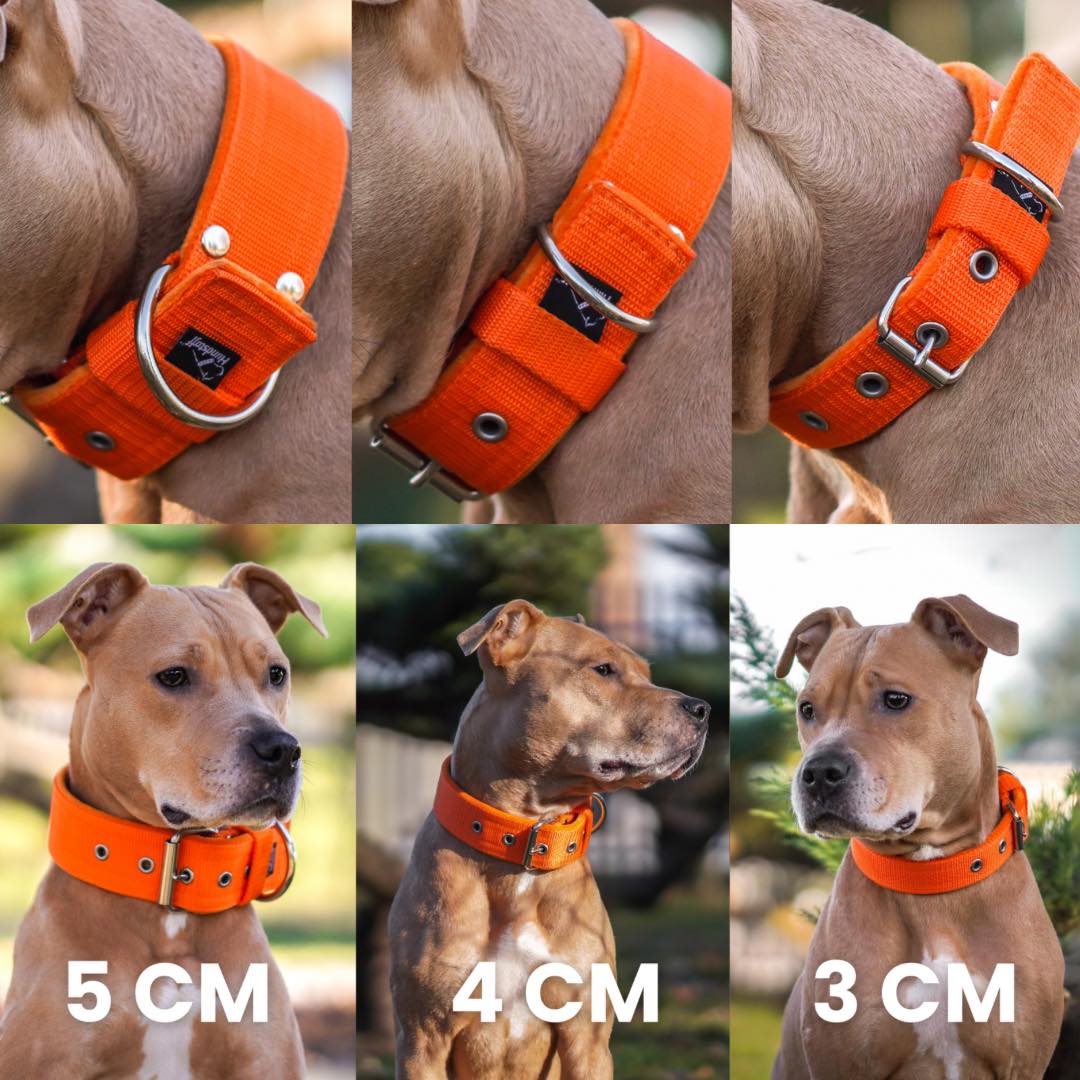 440497049_956416342889975_2892895006151605342_n