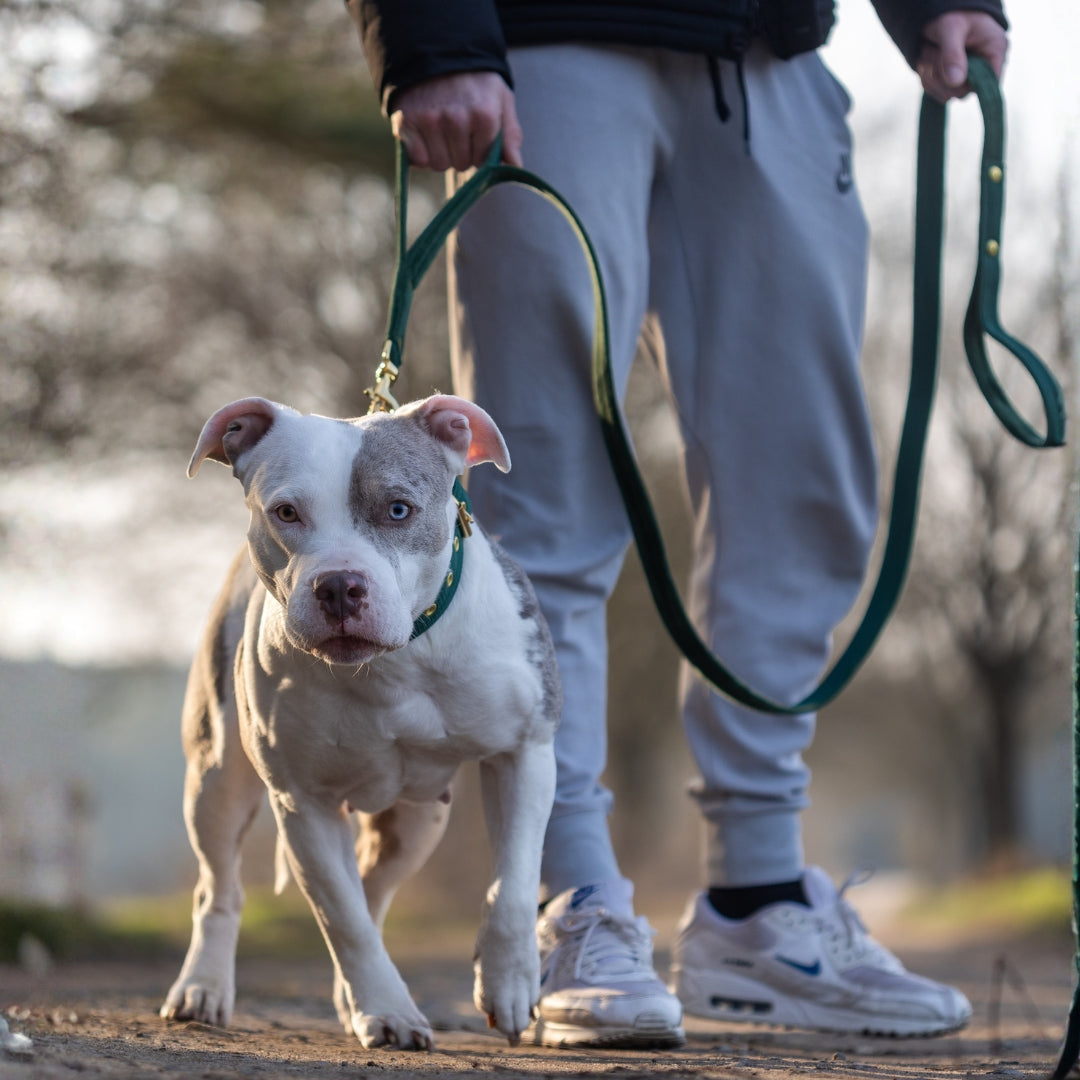 Smycz z dodatkową rączką - Guard Leash Black Edition Navy Blue