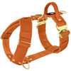 Szelki z szybką klamrą - Easy Walk Extreme Gold Buckle Burned Orange
