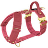 Szelki z szybką klamrą - Easy Walk Extreme Gold Buckle Raspberry Red