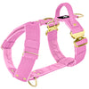 Szelki z szybką klamrą - Easy Walk Extreme Gold Buckle Candy Pink