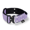 Szeroka obroża z klamrą Extreme - Extreme Buckle Baby Purple