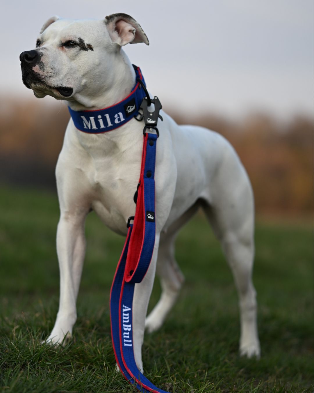 Smycz przepinana dla psa z imieniem - Personal Multi Leash