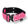 Szeroka obroża z klamrą Extreme - Extreme Buckle Pink