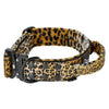 Szeroka obroża z klamrą extreme - Extreme Buckle Leopard