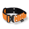 Szeroka obroża z klamrą Extreme - Extreme Buckle Orange
