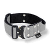 Szeroka obroża z klamrą Extreme - Extreme Buckle Grey