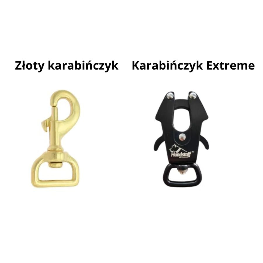 Złoty karabińczyk