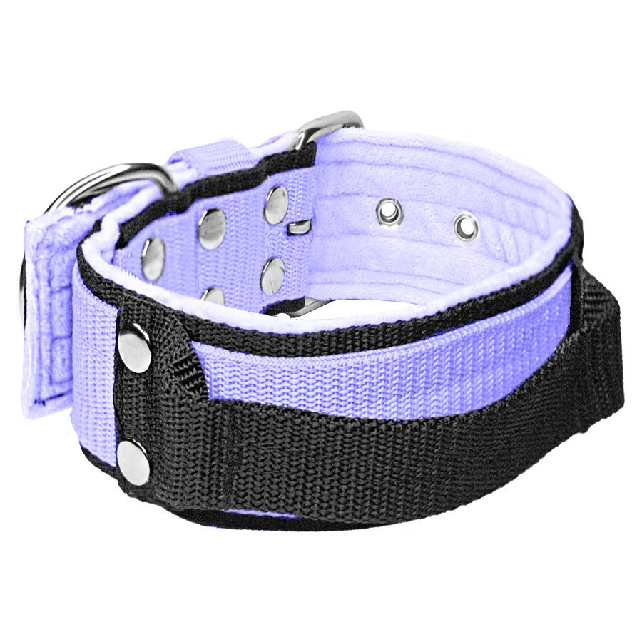 babypurple2