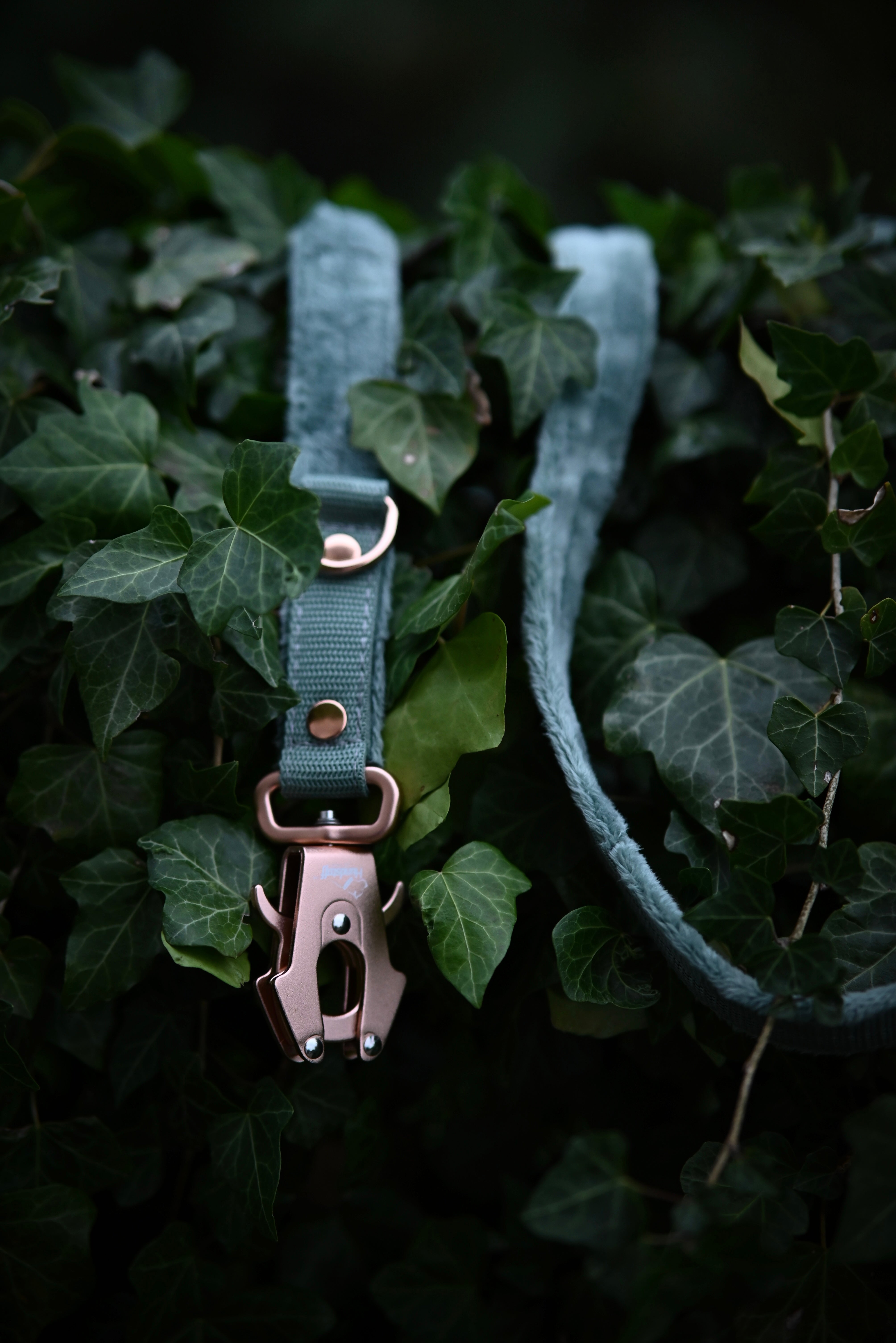 Smycz przepinana z dodatkową raczką - Multi Guard Leash Rose Edition Pastel Green
