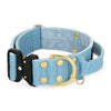 Szeroka obroża z klamrą Extreme - Extreme Buckle Golden Baby Blue