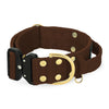 Szeroka obroża z klamrą Extreme - Extreme Buckle Golden Dark Brown