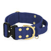 Szeroka obroża z klamrą Extreme - Extreme Buckle Golden Navy Blue
