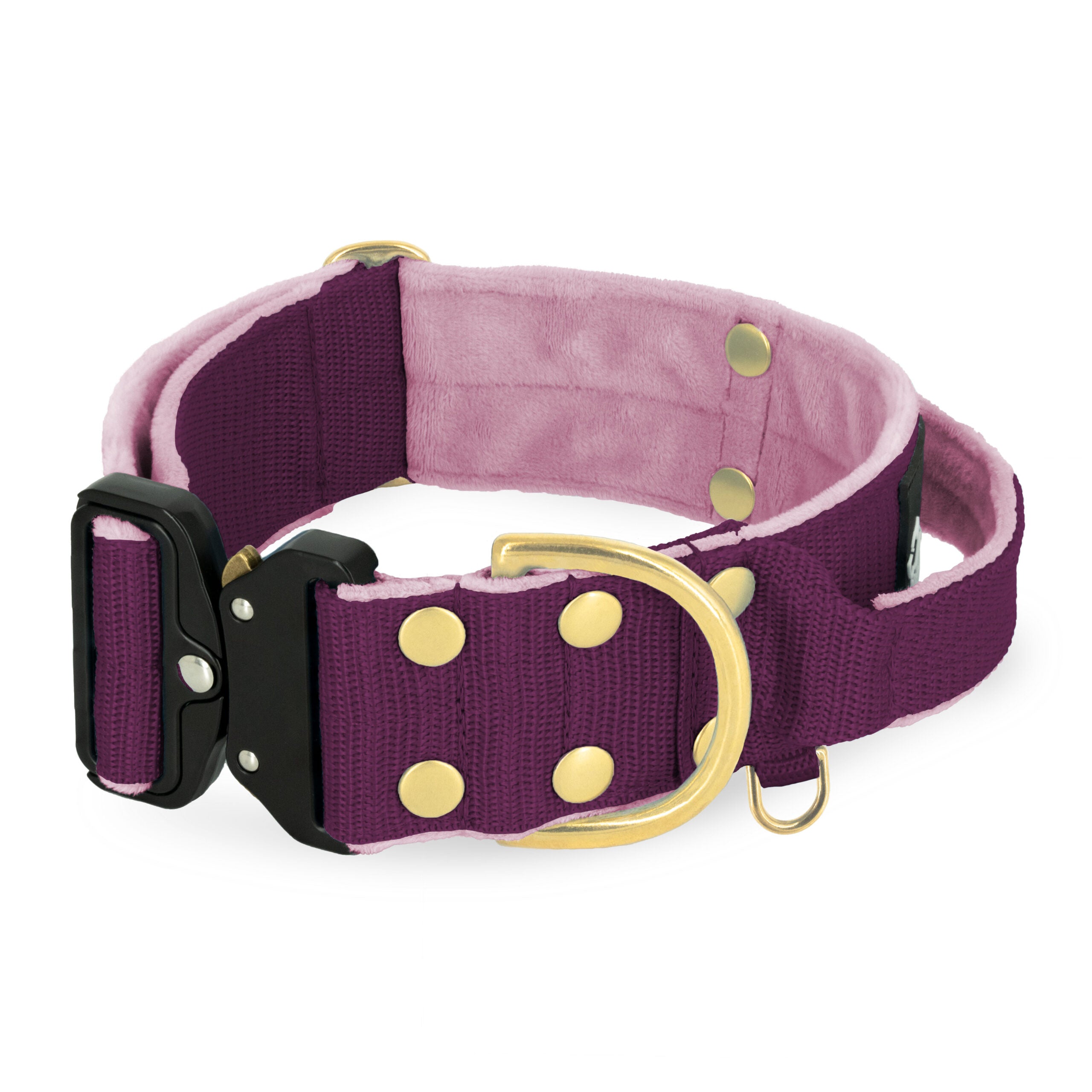 obroza_1_1_EXTREME BUCKLE_GE_PLUM
