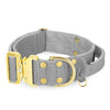 Szeroka obroża z klamrą extreme - Extreme Gold Buckle Szara
