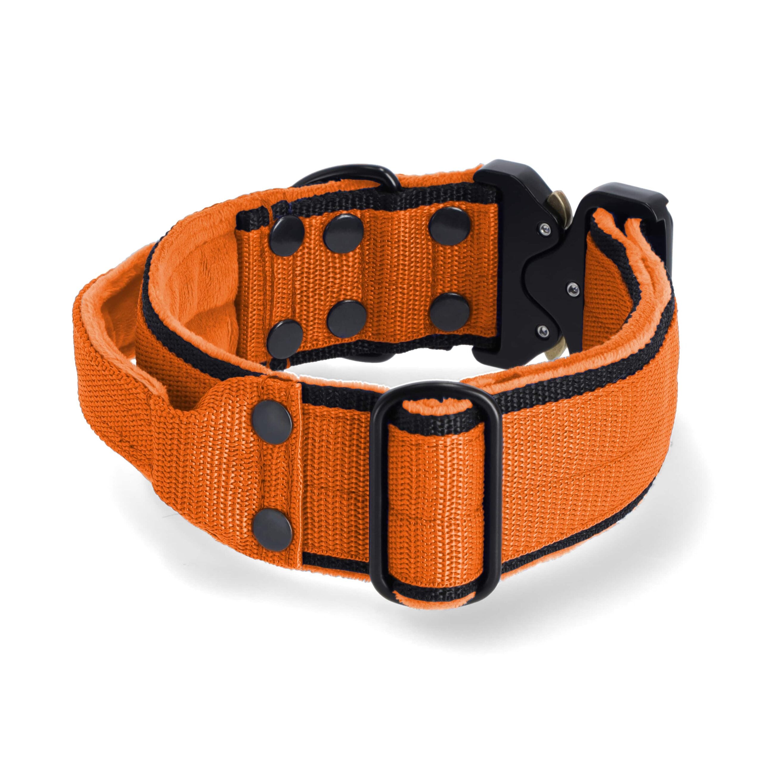 obroza_1_2_POMARAŃCZOWY-min