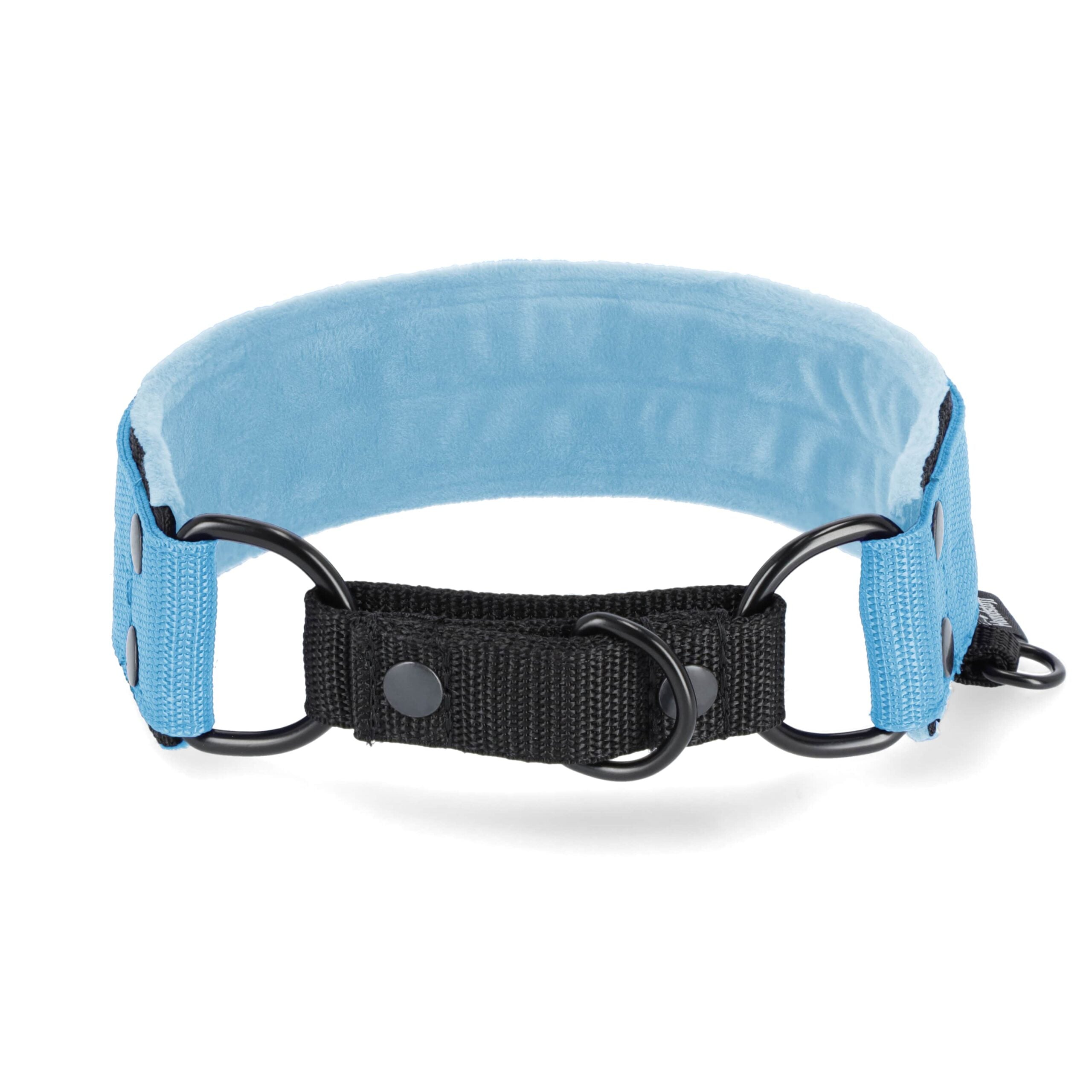 obroza_3_1_NIEBIESKI-min