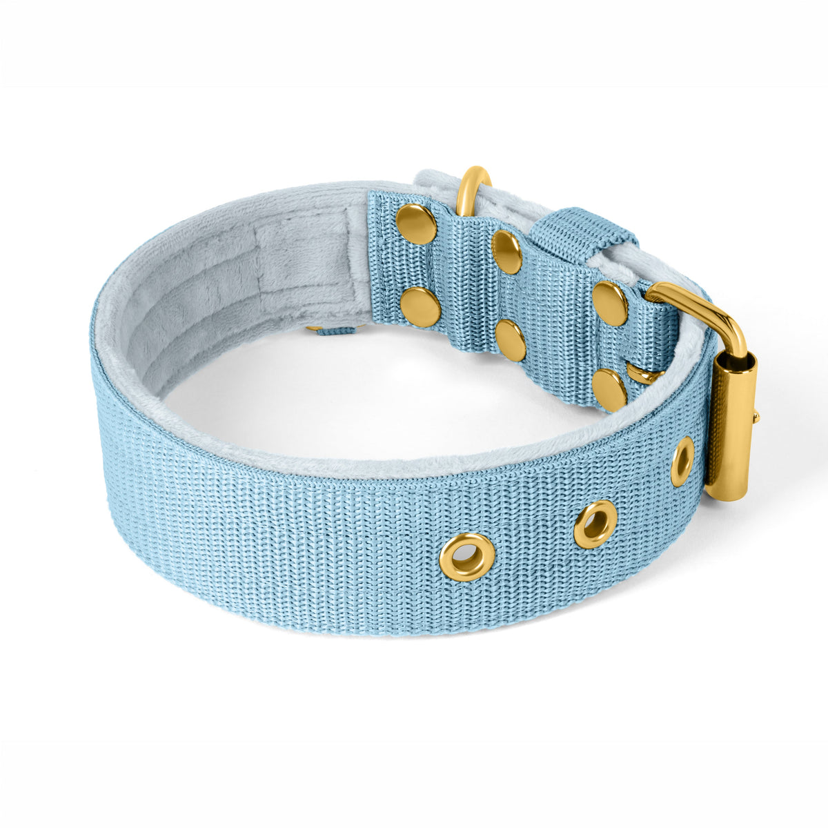 Active Gold Edition Baby Blue