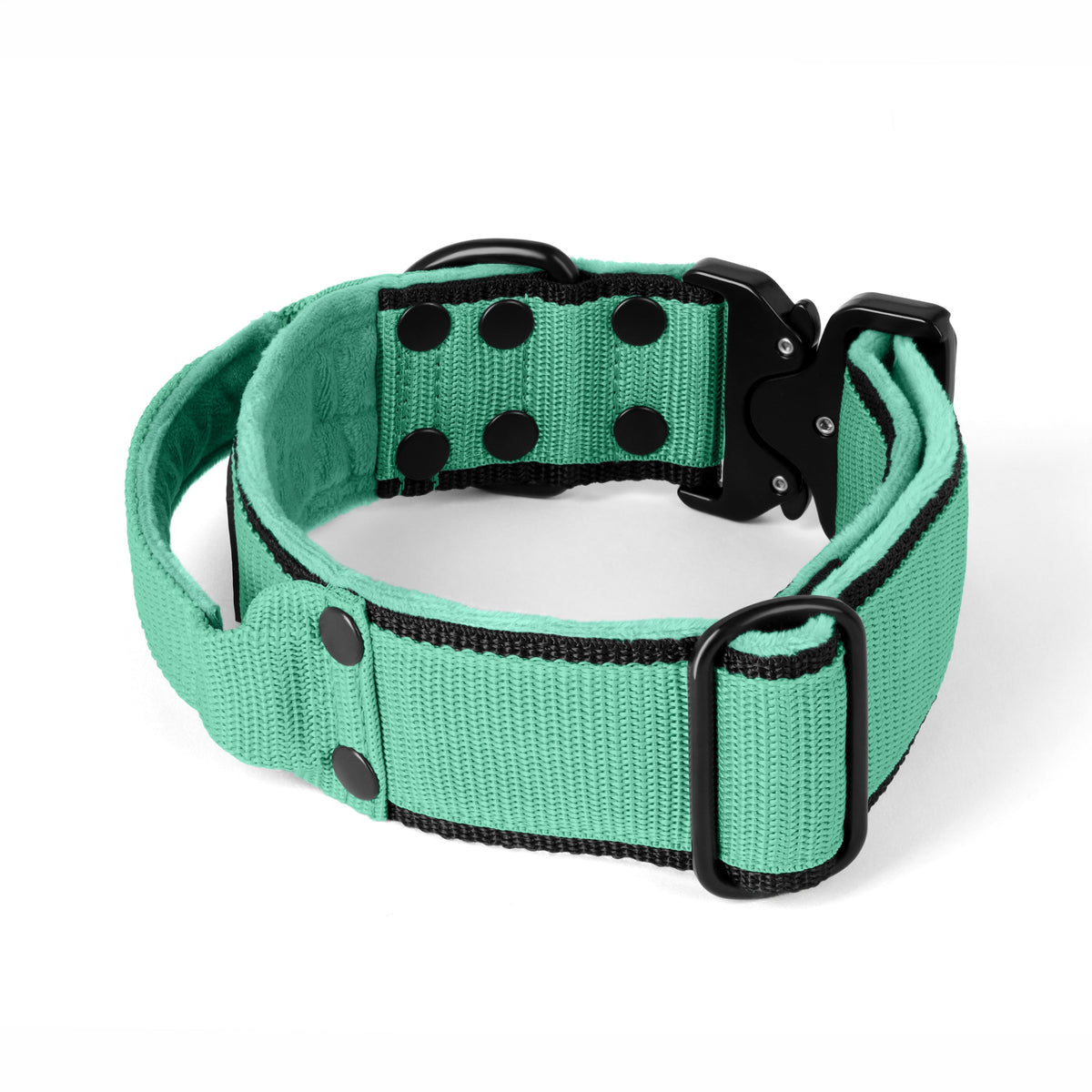 Extreme Buckle Black Edition Mint