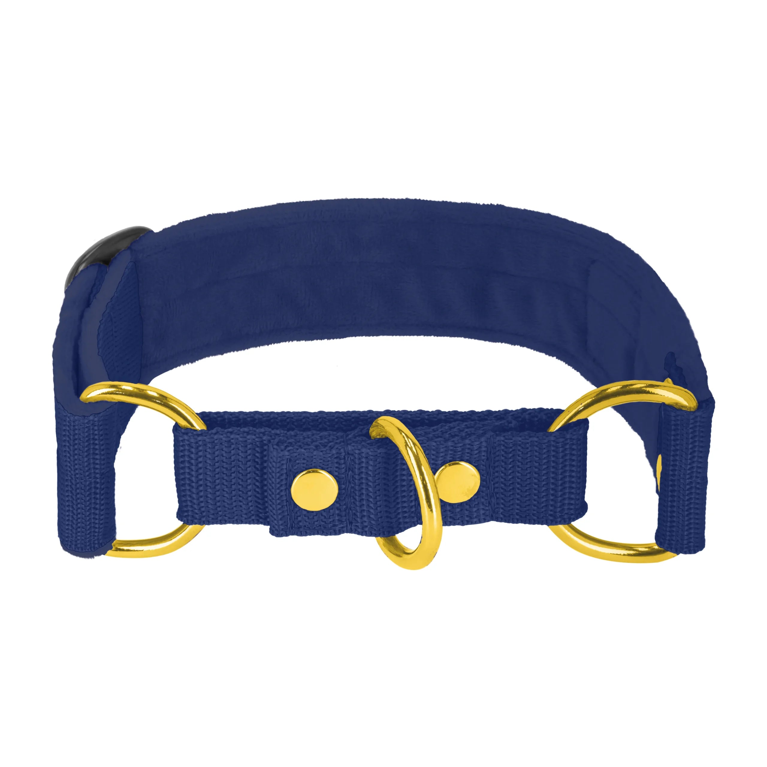 obroża_złota_navy_blue_2_min