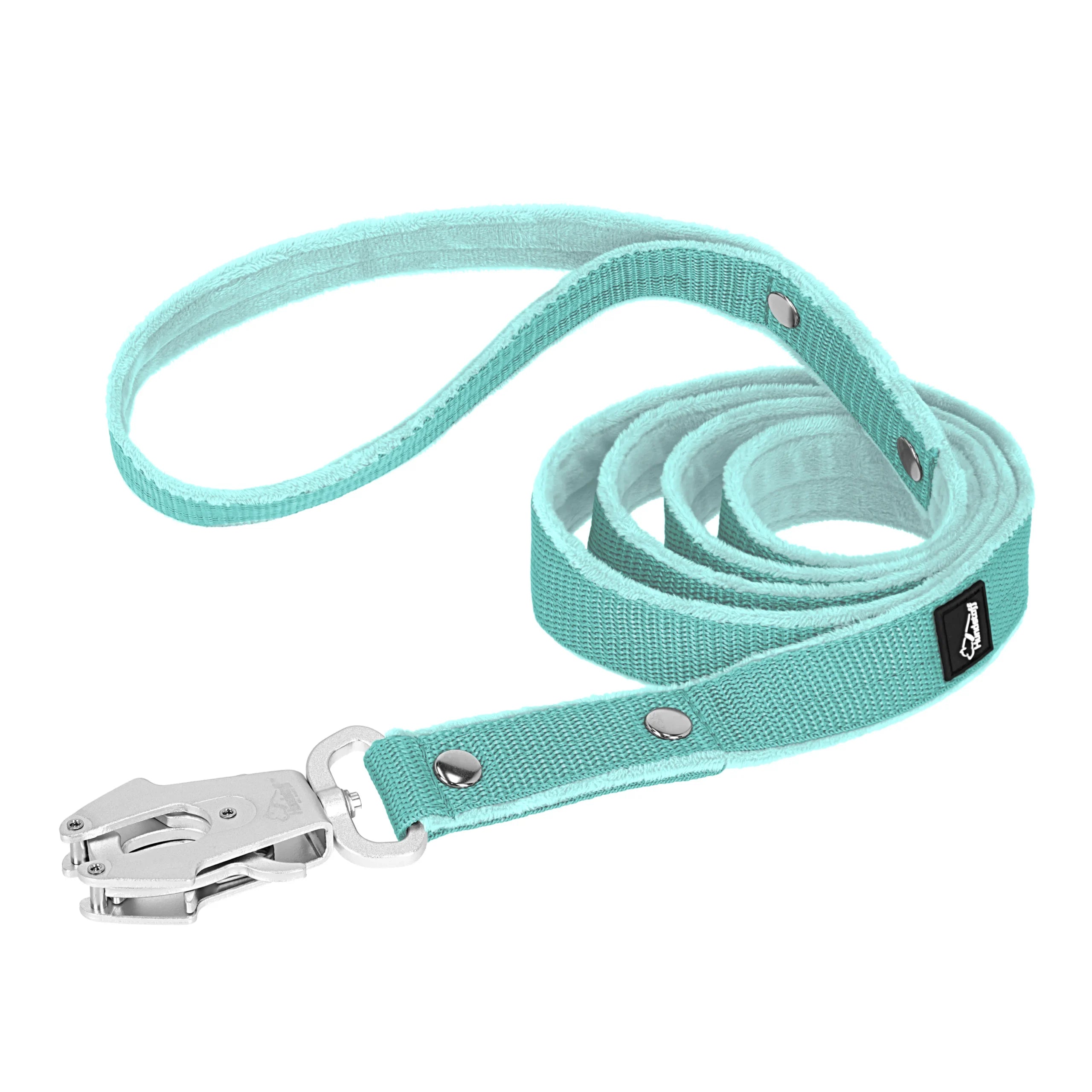walk leash mint 2