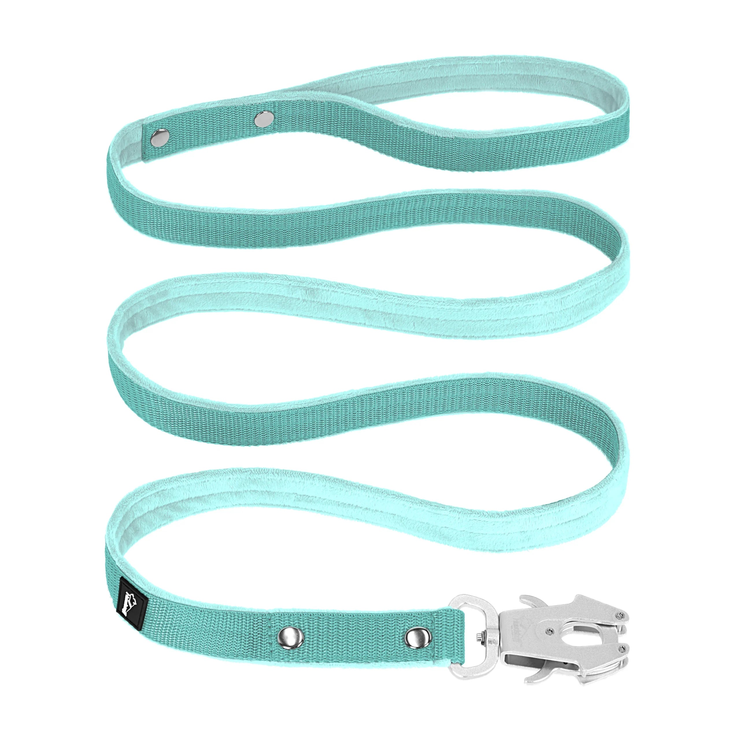 walk leash mint