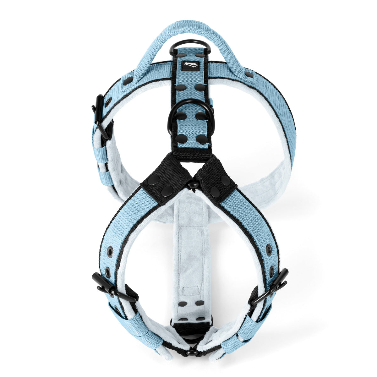 Easy Walk Black Edition Baby Blue