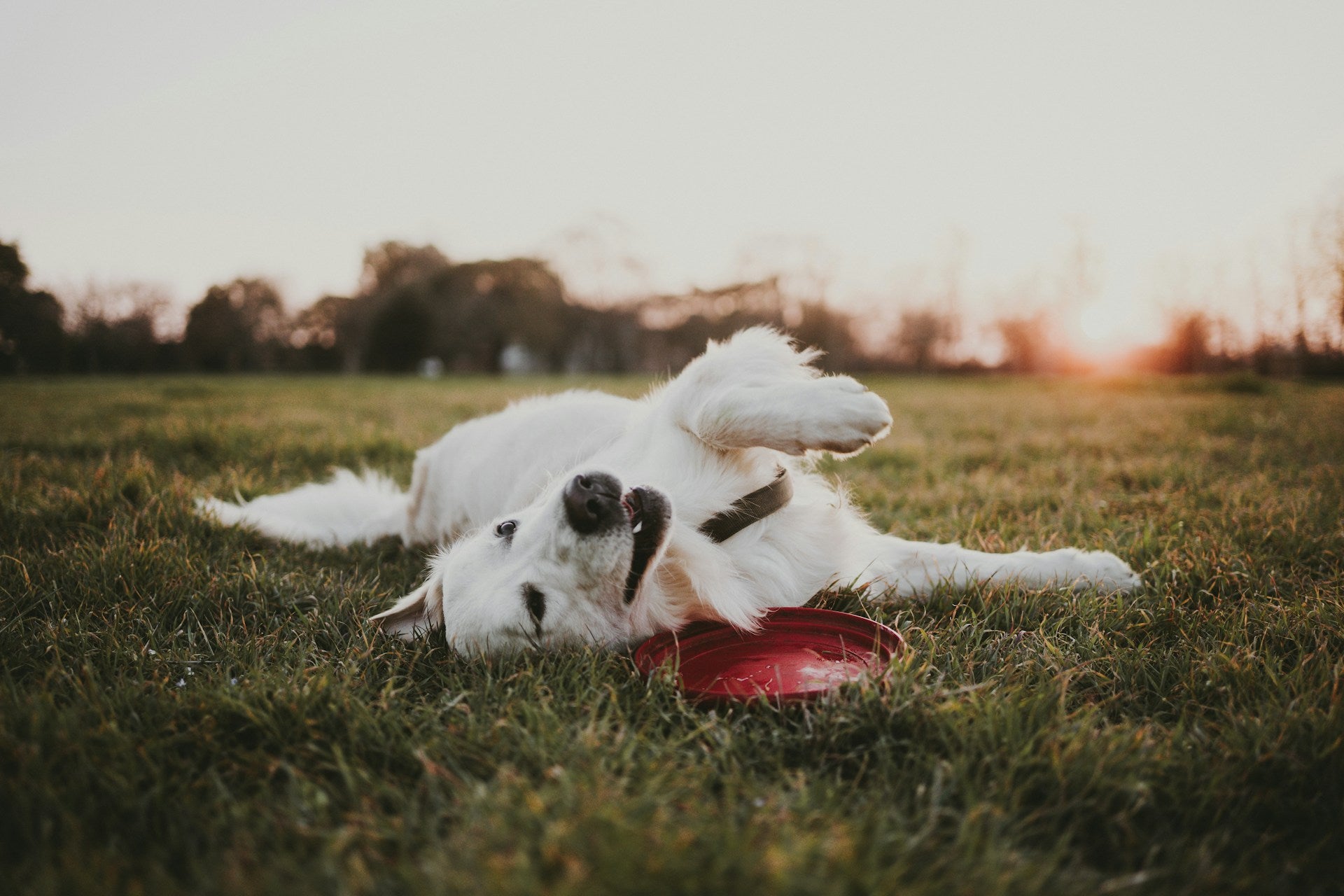 maeva-vigier-ILRLpGCFsPE-unsplash