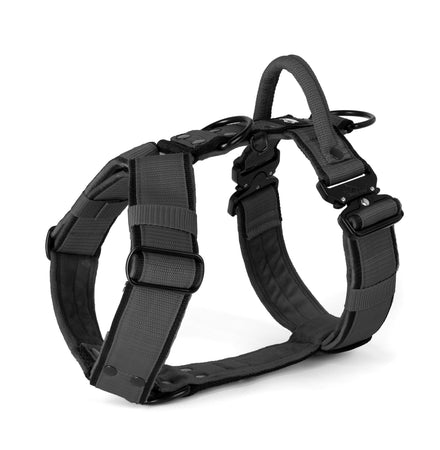 Easy Walk Extreme Black Edition