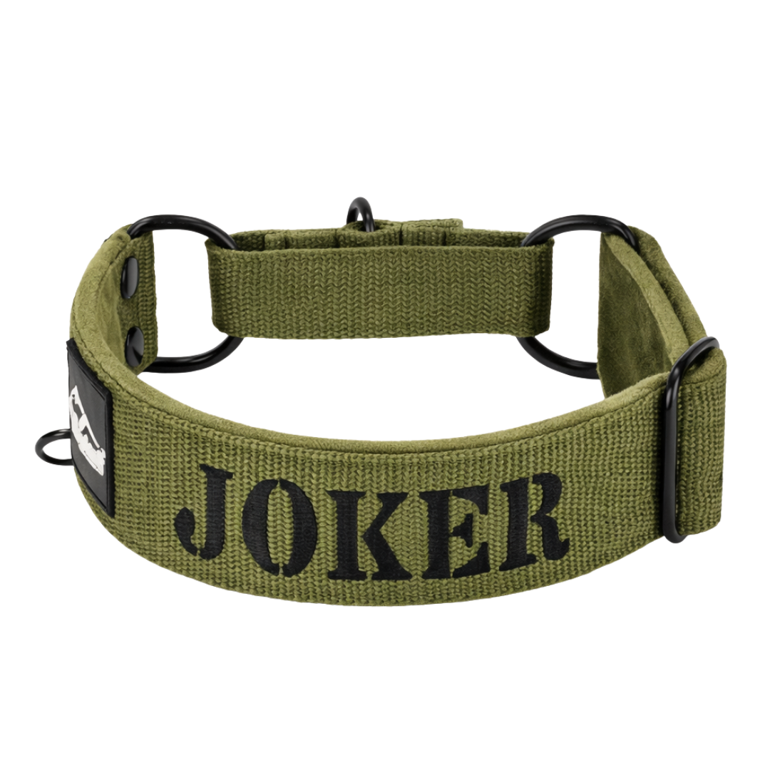 Półzaciskowa obroża dla psa z imieniem - Personal Martingale