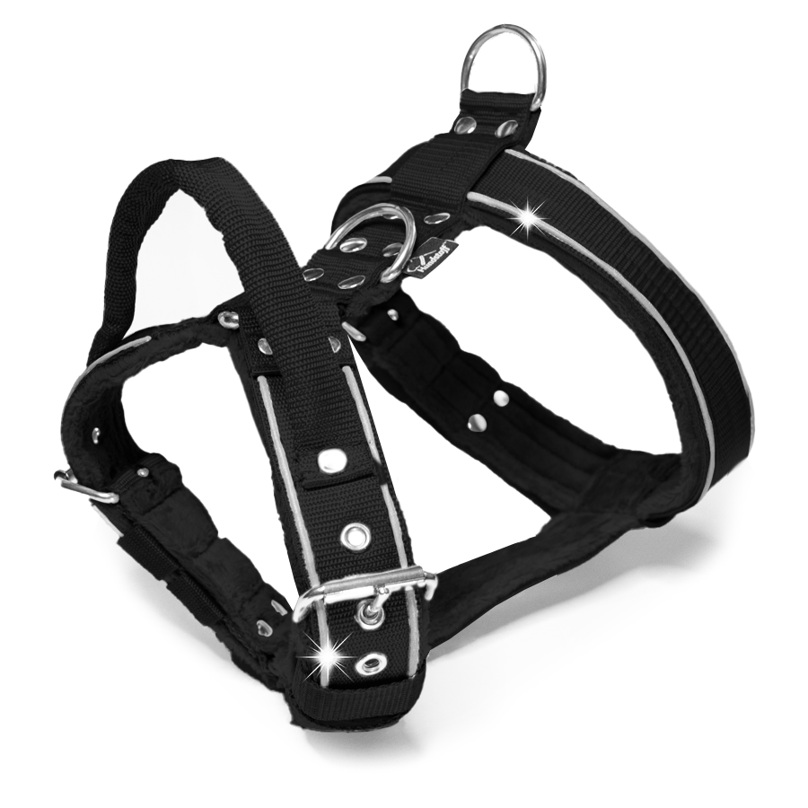 easy walk safe black 1