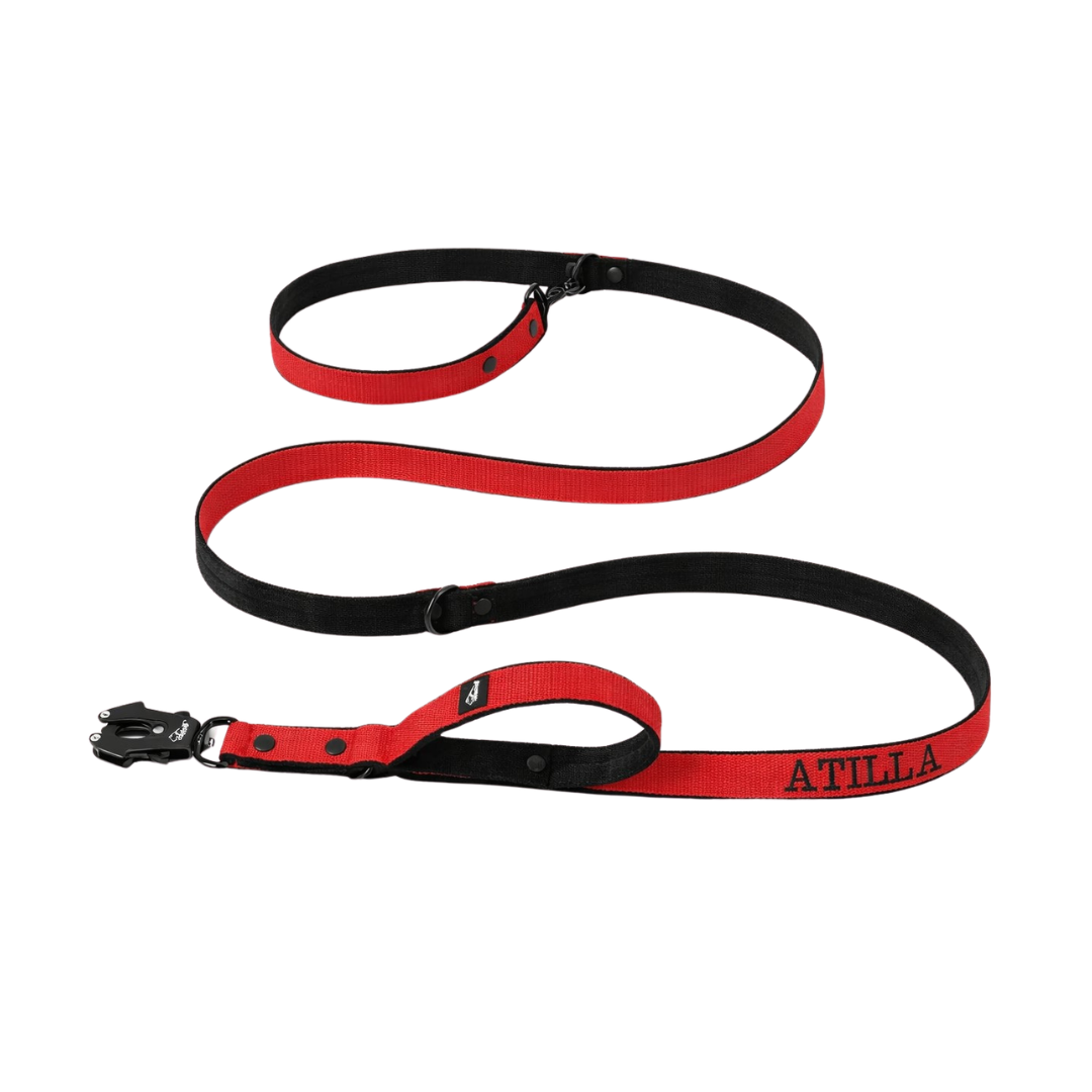 Smycz przepinana dla psa z imieniem - Personal Multi Leash
