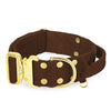 Szeroka obroża z klamrą extreme - Extreme Gold Buckle Dark Brown