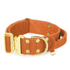 Szeroka obroża z klamrą extreme - Extreme Gold Buckle Burned Orange