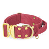 Szeroka obroża z klamrą extreme - Extreme Gold Buckle Raspberry Red