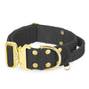 Szeroka obroża z klamrą extreme - Extreme Gold Buckle Dark Grey