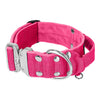 Szeroka obroża z klamrą extreme - Extreme Silver Buckle Różowa