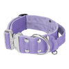 Szeroka obroża z klamrą extreme - Extreme Silver Buckle Baby Purple